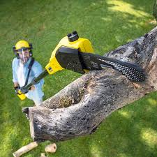 Landscape Design and Installation in Kill Devil Hills, NC